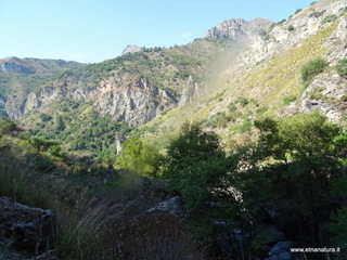 stoleone-09-08-2020 09